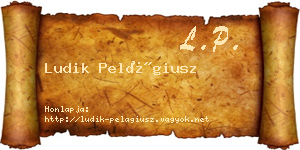 Ludik Pelágiusz névjegykártya